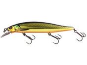 WbJ/RV-MINNOW110SP #RVS[h