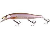 WbJ/RV-MINNOW110SP #S[XgJTM