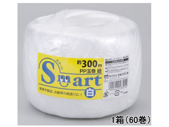 {wH Smart PPʊЂ 300m 60 ES-301