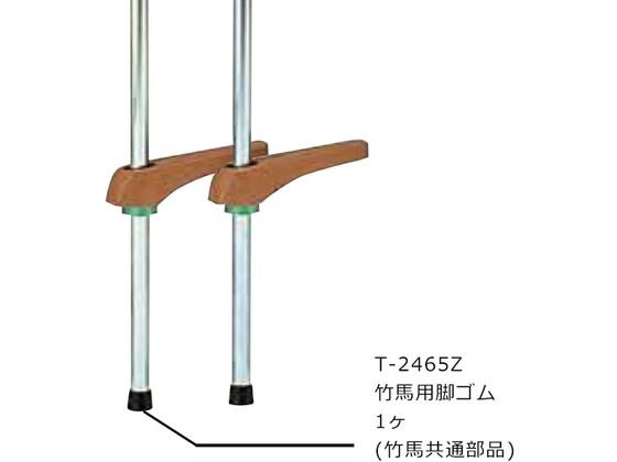 g[GCCg |nprS T-2465Z