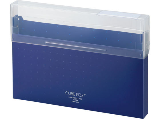 qgu CUBE FIZZ ROXP[X A4 lCr[ A6024-11