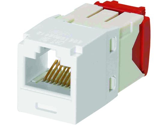 phECbg JeS5E RJ45W[WbN UTP TG 