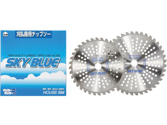 nEXB.M `bv\[uSKY BLUEv SB-255