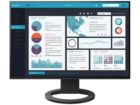 EIZO tfBXvC 24.1^ v~A ubN EV2495-BK