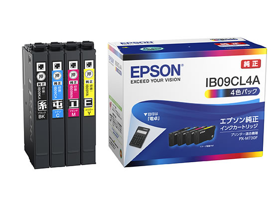 EPSON CNpbN 4FpbN IB09CL4A